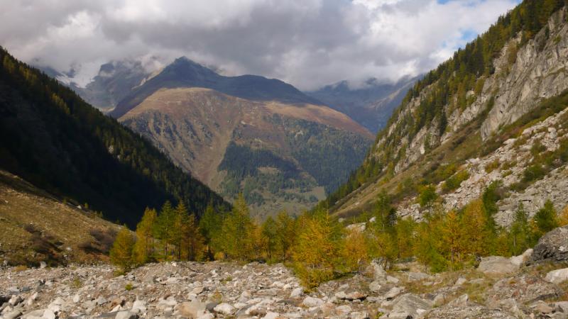 P1000954.jpg