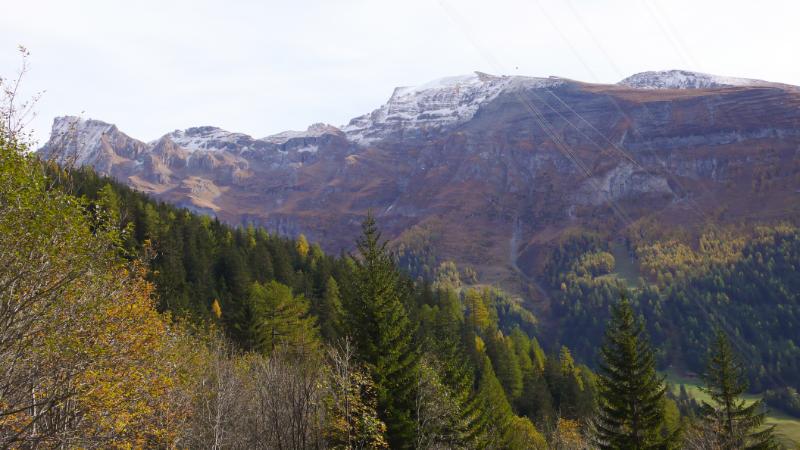 P1010433.jpg