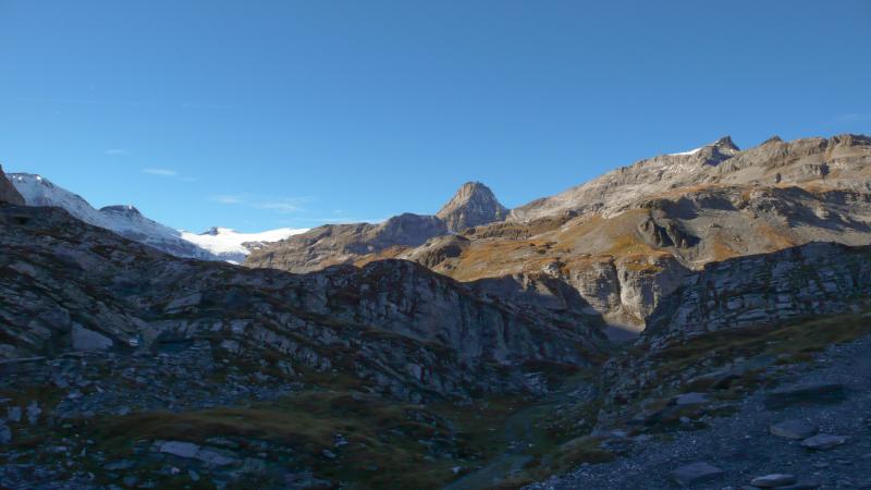 P1010545.jpg