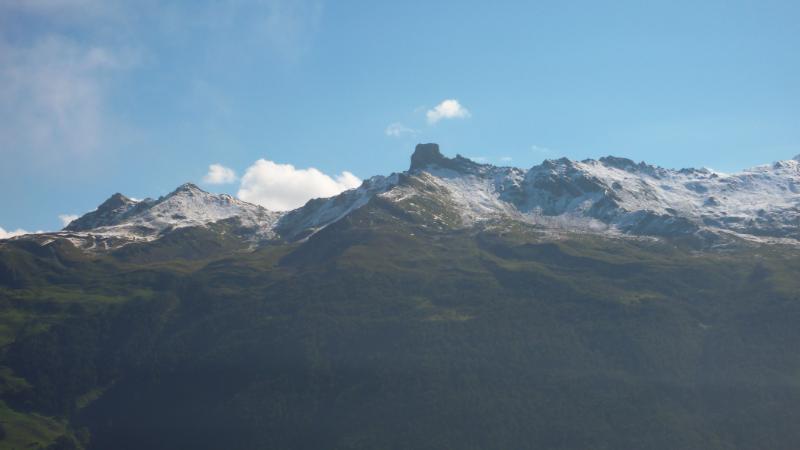 P1050447.jpg