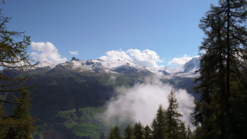 P1050448.jpg
