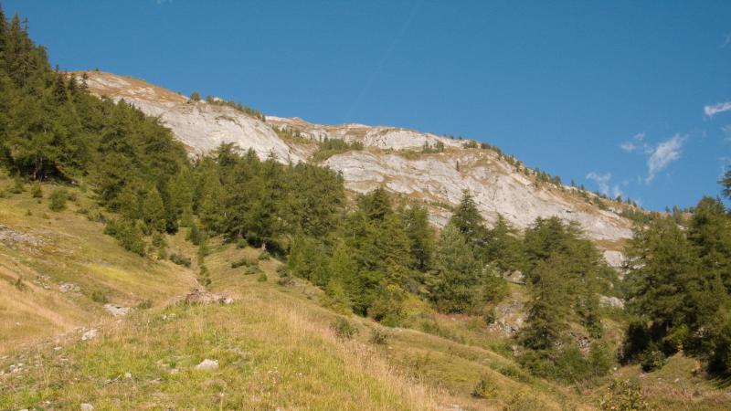P1060153-2.jpg