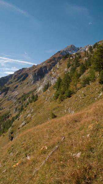 P1060167-2.jpg
