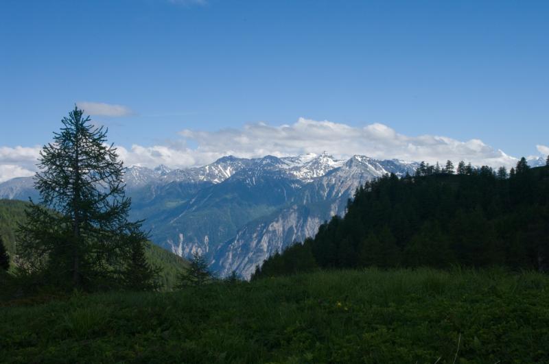 P20080618-1082.jpg