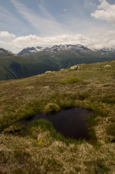 p20110624-grimsel-0006.jpg