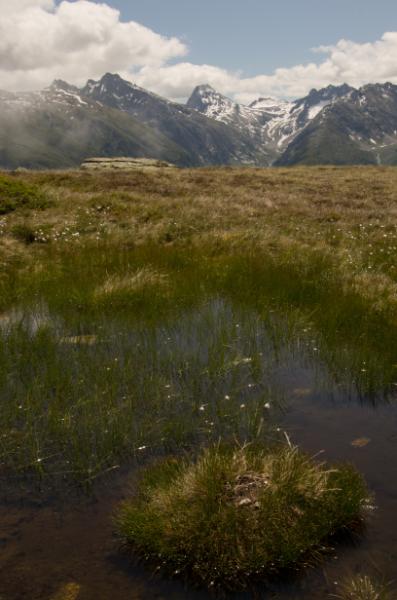 p20110624-grimsel-0010.jpg