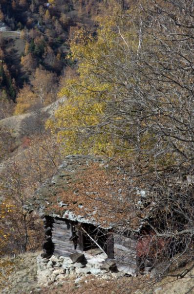 p20111113-ossona-0049.jpg