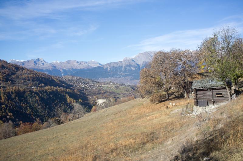 p20111113-ossona-0067.jpg