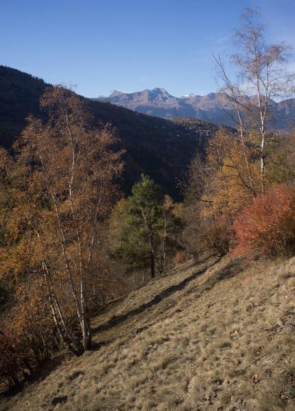 p20111113-ossona-0082.jpg