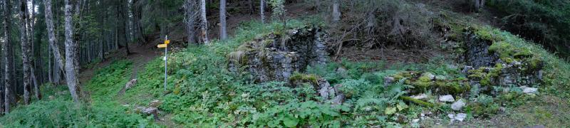 Ruine à la bifurcation Châtelet/Bovonne