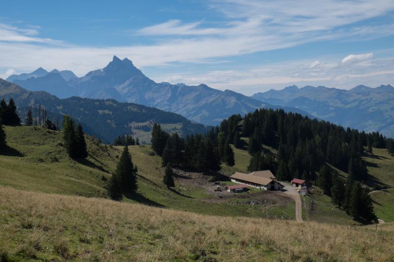 Alpage de Bovonne, Dents du Midi