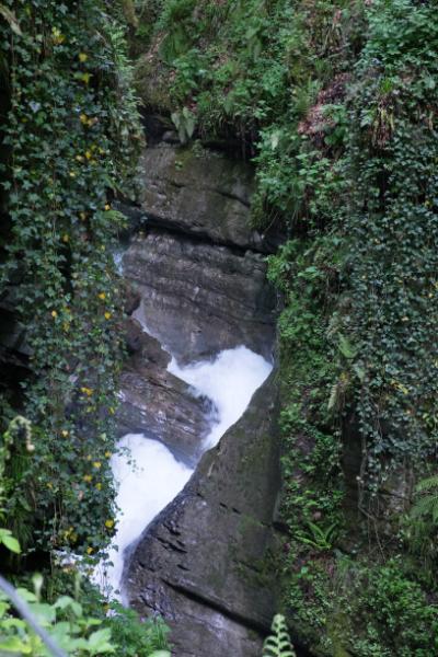 _DSF2725.jpg